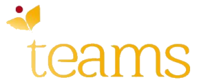logoteams_nsf_sm